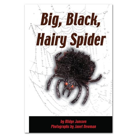 Big Black Hairy Spider Book By Midge Janssen Rainbow Reading