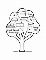 Quadrilateral Hierarchy Teacherspayteachers sketch template
