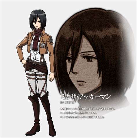 Mikasa Ackerman Animated Muscle Women Wiki Fandom