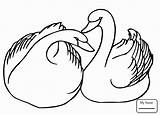 Swan Coloring Pages Swimming Pool Drawing Swans Bathing Suit Two Printable Getdrawings Getcolorings Color Unique Colori sketch template