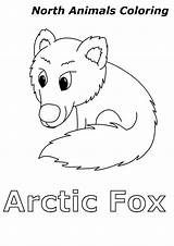 Arctic Animals Fox Coloring Color sketch template