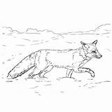 Leukvoorkids Fox Vossen Dieren sketch template