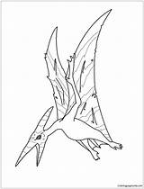 Coloring Pages Pteranodon Pterodactyl Dinosaur Print Dinosaurs Flying Color Online Colour Printable Baby Popular Hellokids Library Clipart Doghousemusic sketch template