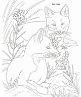 Coloring Pages Fox Animal Color Publications Dover Adult Choose Board Tulamama sketch template