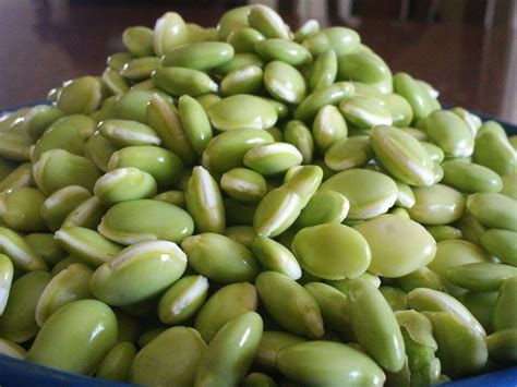 kaalu mor kuzhambu field beans   spicy curd base