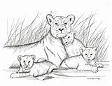 Drawing Lion Baby Lions Mother Drawings Pencil Lioness Print Cubs Etsy Cub Draw Tattoo Animal Her Animals Cute Painting Hippo sketch template