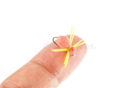 tiny fishing fly  finger tip stock image image  games small