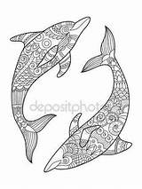 Kleurplaat Dolfijn Volwassenen Kleurplaten Adults Delfine Delfin Zentangle Delfines Malvorlagen Dauphin Moeilijke Delphin Moeilijk Delphine Schattige Omnilabo Tiere Vektorgrafik Tätowierung sketch template