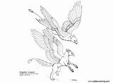 Griffin Coloring Pages Printable Adults Kids Color sketch template