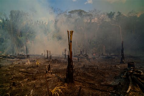 amazon rainforest fires  brazil time