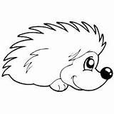 Porcupine Coloring Pokey Surfnetkids Pages sketch template