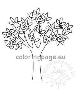 spring tree  flowers template coloring page