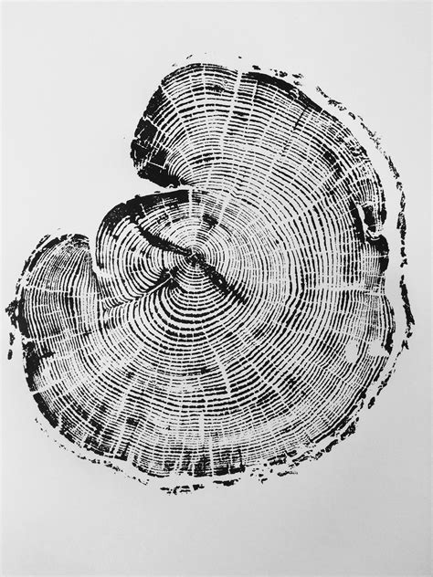 huntsville ut woodcut tree rings print tree slice woodblock art