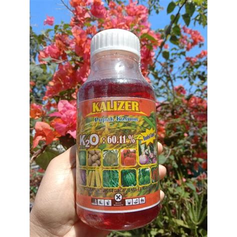 Jual Perangsang Bunga Pembesar Buah Umbi Kalizer 500ml Shopee Indonesia