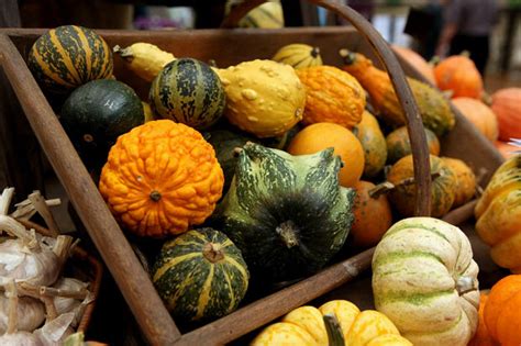 fall vegetables   health   grid news