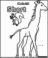 Tall Short Coloring Enchantedlearning Opposites Print Book Spanish Animal Crafts Books sketch template