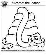 Python Pages Coloring Color Animals Sheet Print Library Popular Clipart sketch template