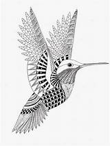 Coloring Zentangle Hummingbird Pages Mandala Bird Imprimer Coloriage Animal Mandalas Adult Dessin Drawing Kwok Colorier Ben Coloriages Drawings Zen Colibri sketch template