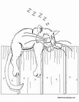 Coloring Cat Pages Sleeping Cats Kids Color Fence Printable Book Colouring Kitty Sheets Choose Board sketch template