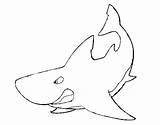 Shark Angry Coloring Coloringcrew sketch template