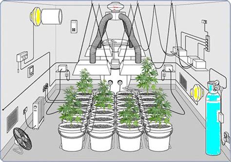 build   indoor grow room
