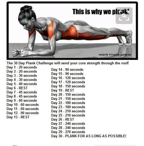 30 day plank challenge lets do it 30 day plank challenge abs