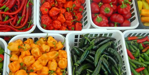 Freezing Sweet Hot And Bell Peppers