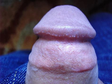 close up head of flaccid penis anal on yuvutu homemade amateur porn movies and xxx sex videos