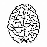 Cerebro Cervello sketch template