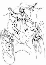 Assumption Mewarnai Masih Assunta Kenaikan Madonna Rosary Mysteries Glorious Malaikat Chiesa sketch template