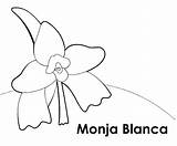 Colorear Monja Blanca sketch template