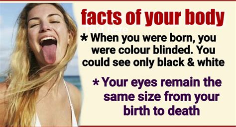 You Will Be Shocked If You Know These 20 Amazing Facts About Human Body