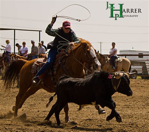 finding  good roping horse  whoa podcast