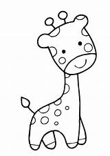Giraffes Giraffe sketch template