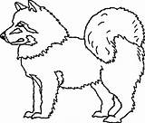 Eskimo Dog Husky Coloring Pet sketch template