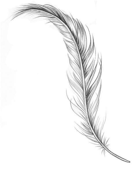 Feather Tattoo Outline Drawings