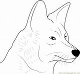 Coyote Face Coloring Pages Color Coloringpages101 Coyotes sketch template