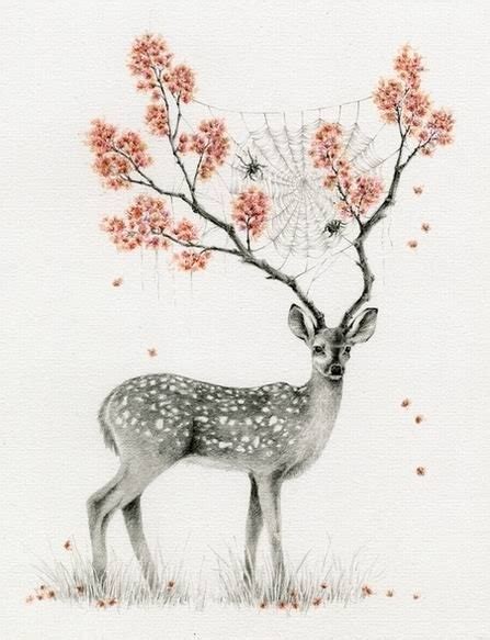 Artwork Courtney Brims Deer Deers Drawing Flower Image 8224 On