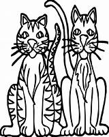Coloring Tiger Cat Two Wecoloringpage Pages sketch template
