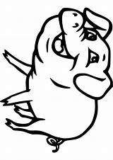 Pig Coloring Guinea Cliparts Pages Pigs Cartoon Baby Cute Smiling Handout Below Please Print Click Getdrawings Drawing sketch template