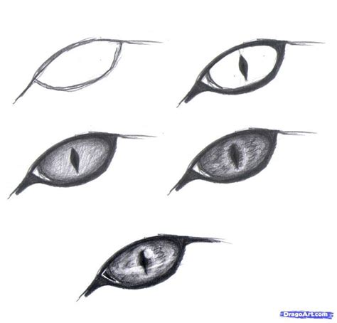 realistic   draw  beginners google search drawing ideas