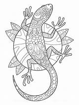 Lizard Horned Coloring Pages Gecko Drawing Printable Getdrawings Adult Animal Choose Board Kids sketch template