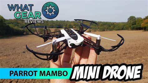 perfect starter drone parrot mambo minidrone youtube