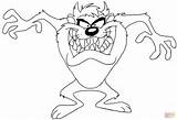 Taz Coloring Looney Pages Tunes Devil Drawing Tazmanian Printable Colouring Cartoon Characters Supercoloring Print Cartoons Version sketch template