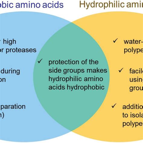 hydrophobic amino acids  aqueous solutions citylalaf