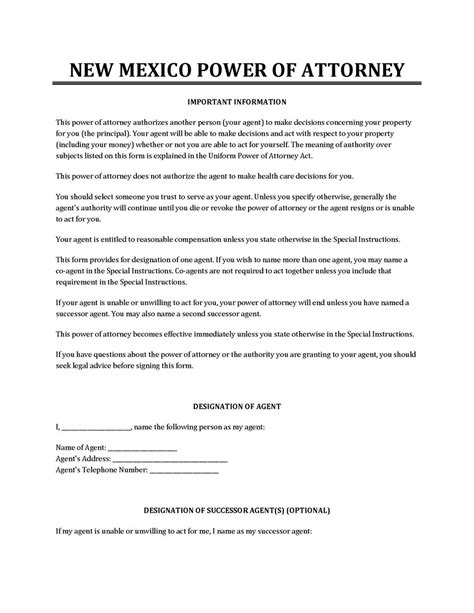 mexico power  attorney forms  word