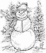 Coloring Christmas Cardinal Pages Snowman Northwoods Wood Rubber Mounted Stamps Choose Board Adults Winter sketch template