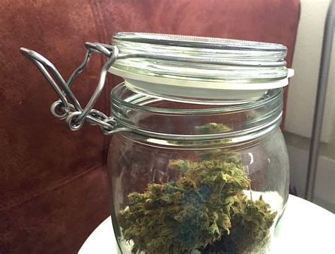 drying  curing cannabis preserving  weeds taste