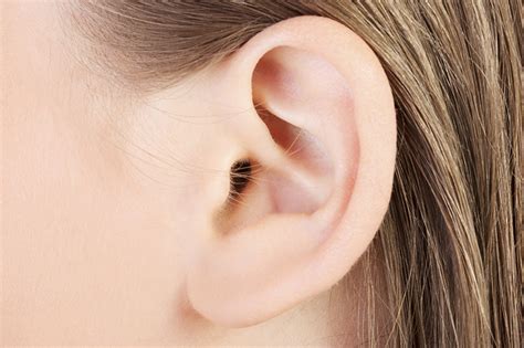 understanding  earwax doctor espo