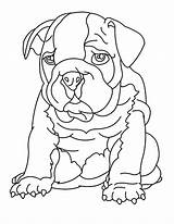 Bulldog Coloring Pages Drawing Cute Color Getdrawings Place Tocolor Comments sketch template